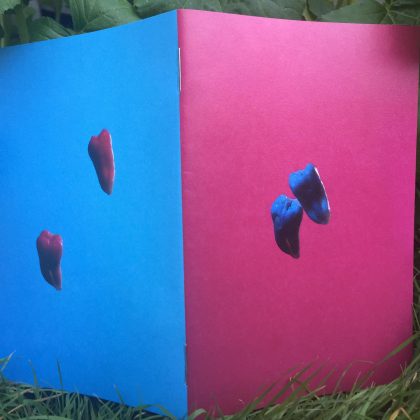 A paper zine stands open, with the front and back covers facing the viewer. The cover to the left has a deep blue background with two teeth, wisdom teeth, in the centre. The teeth are highlighted with contrasting magenta light. The cover to the right has a deep magenta background with two teeth, wisdom teeth, in the centre. The teeth are highlighted with contrasting blue light. One tooth has a large chip just below the crown. The zine stands on vibrant green grass. Squash leaves peek out from behind the covers.