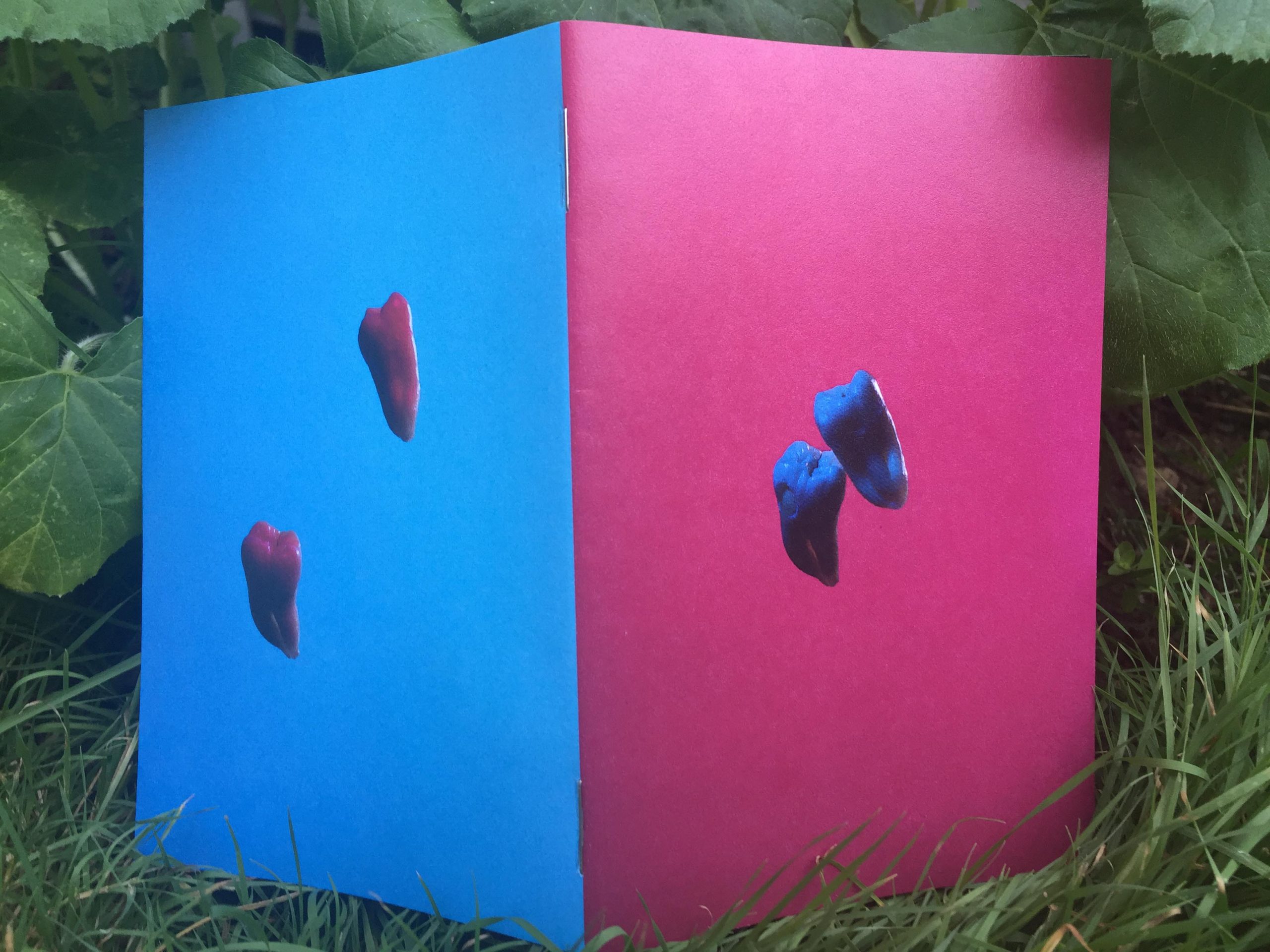 A paper zine stands open, with the front and back covers facing the viewer. The cover to the left has a deep blue background with two teeth, wisdom teeth, in the centre. The teeth are highlighted with contrasting magenta light. The cover to the right has a deep magenta background with two teeth, wisdom teeth, in the centre. The teeth are highlighted with contrasting blue light. One tooth has a large chip just below the crown. The zine stands on vibrant green grass. Squash leaves peek out from behind the covers.